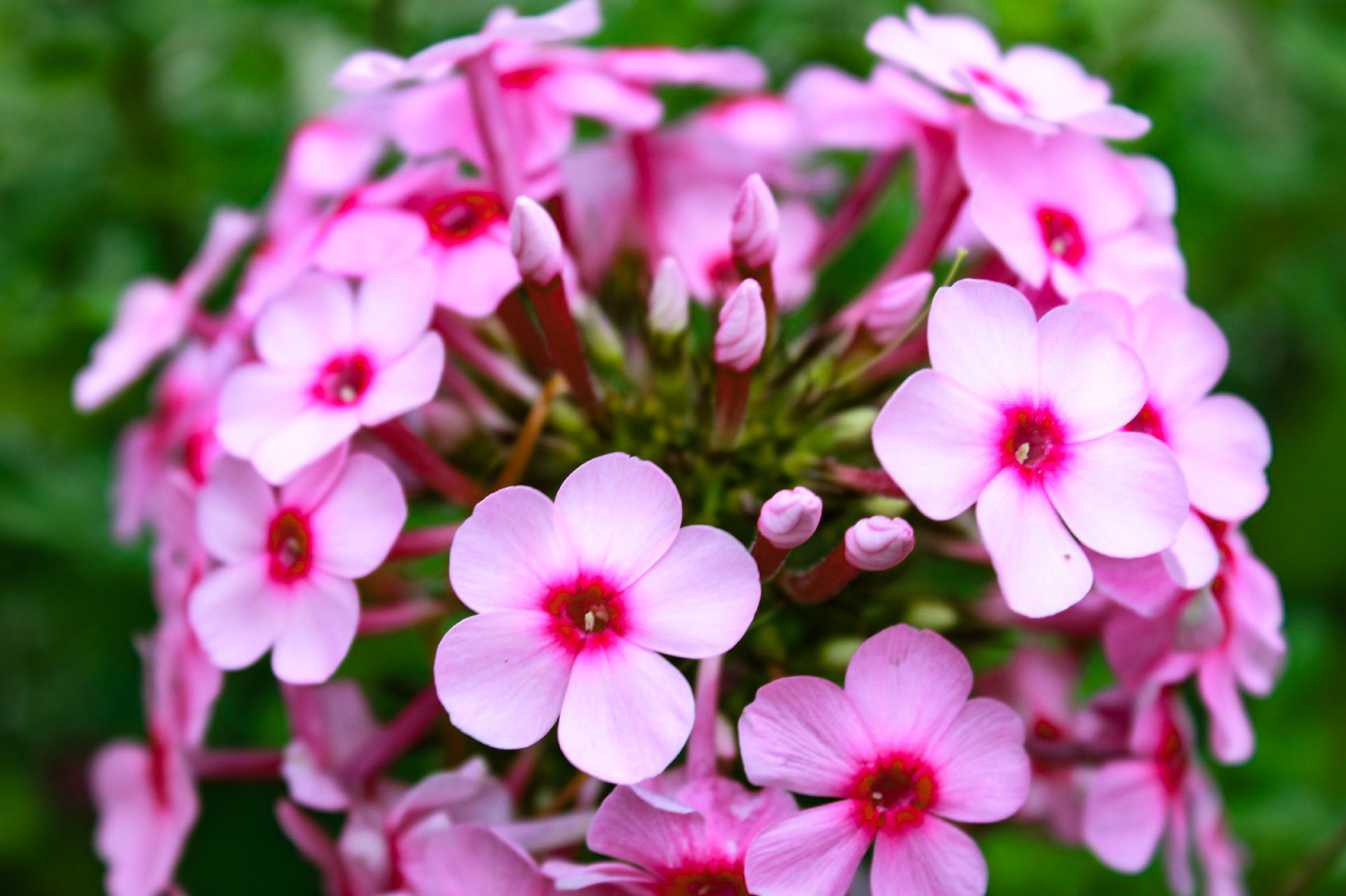 こころの声を大切に