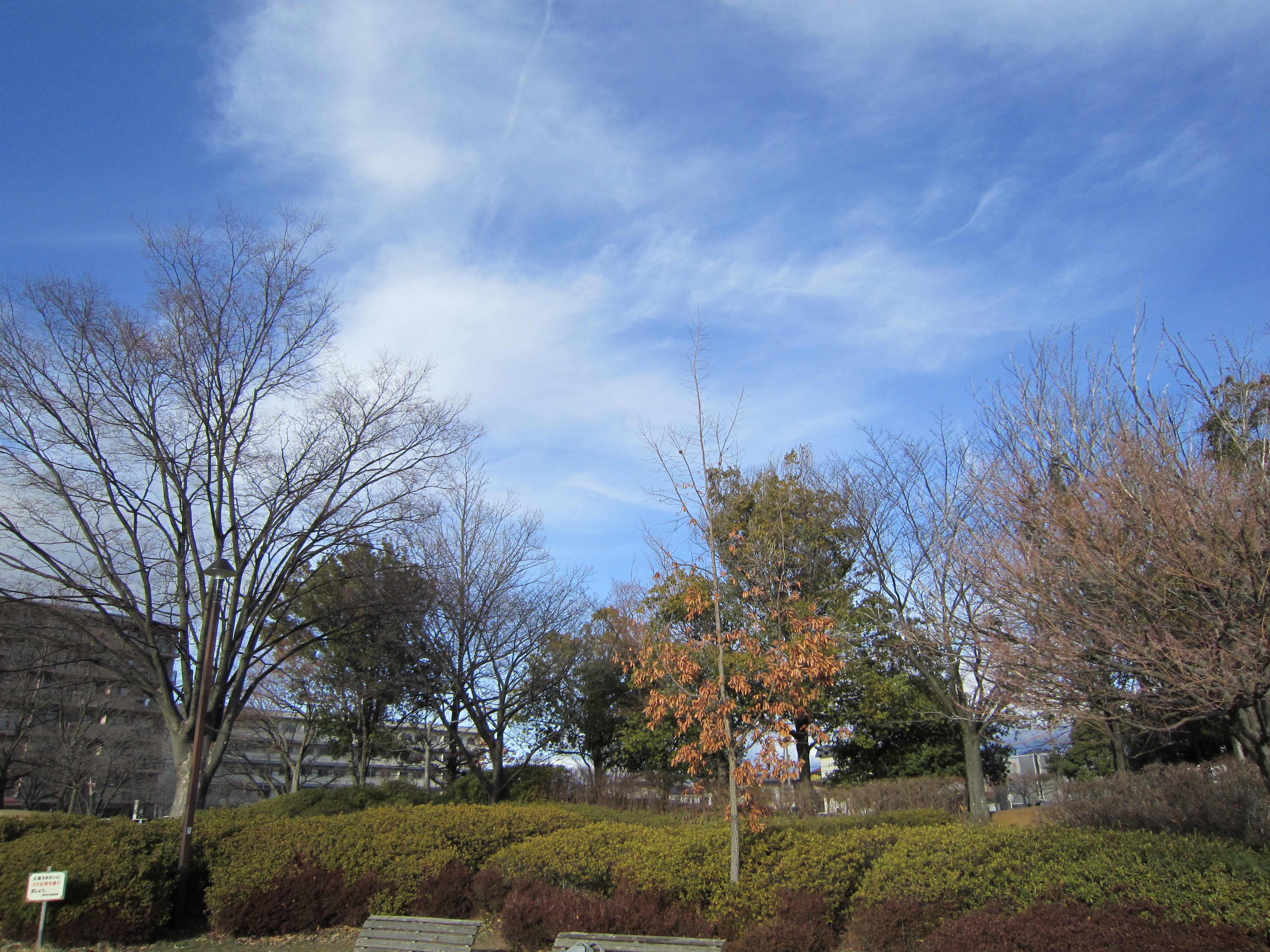 〜風邪と共に去りぬ①〜